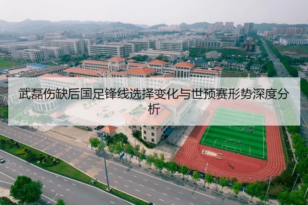 武磊伤缺后国足锋线选择变化与世预赛形势深度分析