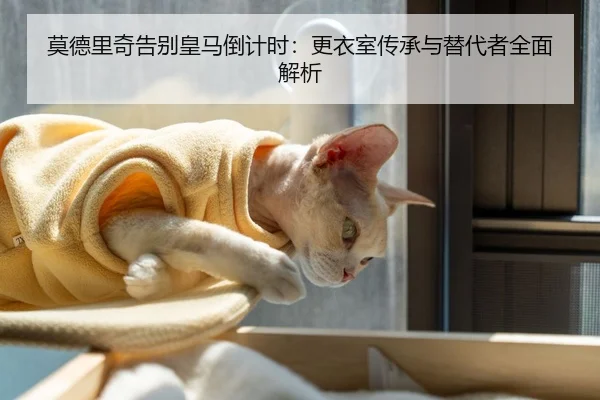 莫德里奇告别皇马倒计时：更衣室传承与替代者全面解析